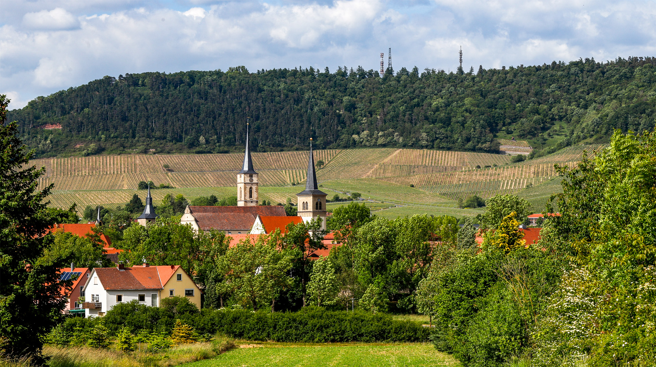 Blick auf Iphofens Stadttürme und berühmte Weinlagen